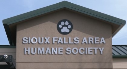 Humane Society first adoption event of the year