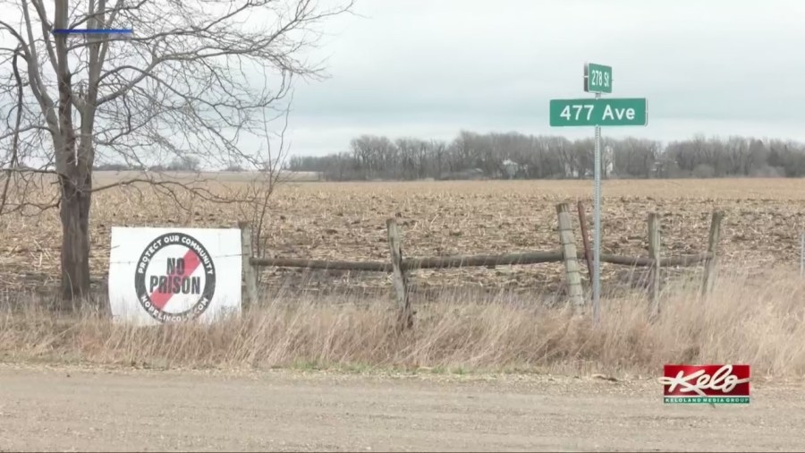 Task force members react to consultant's proposal