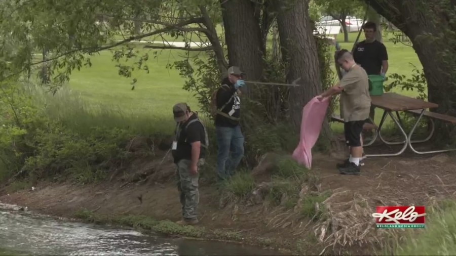 Conservation Camp helps out Rapid Creek