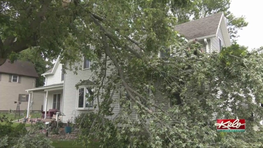 High winds damage buildings, uproot trees in NW IA