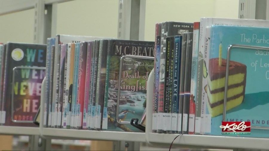 Siouxland Libraries is offering a ‘Blind Date with a Book'