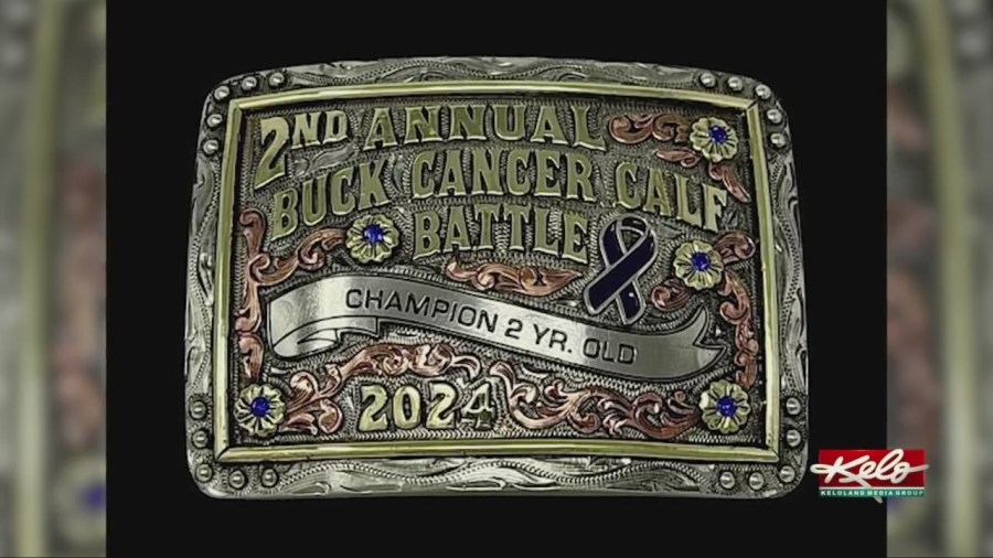 How bulls are helping 'Buck Cancer'