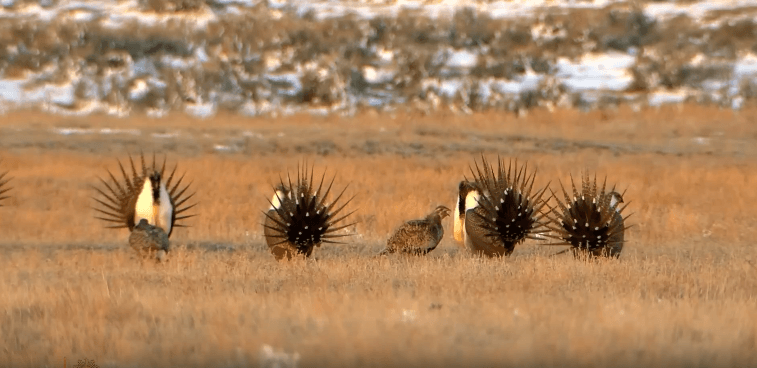 KELO's Chief Photographer featured on CBS Sunday Morning