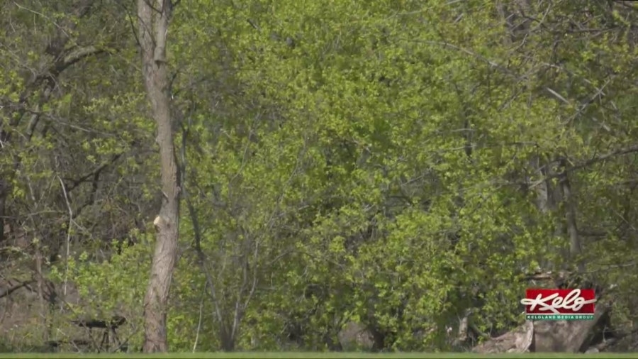 How does April's precip stack up?