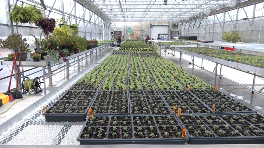 New Greenhouse ready for the summer season
