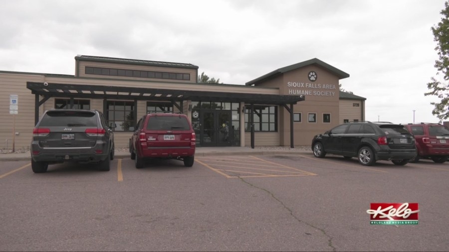 Sioux Falls Humane Society calls for help