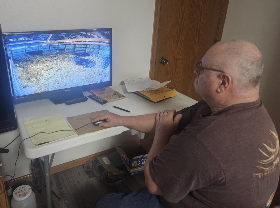 Calving goes high tech