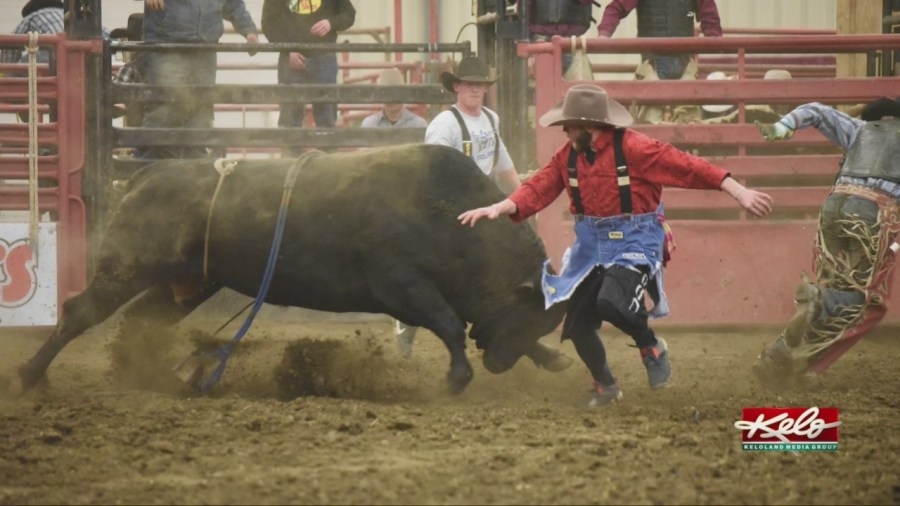 Bulls and Broncs is back for another go