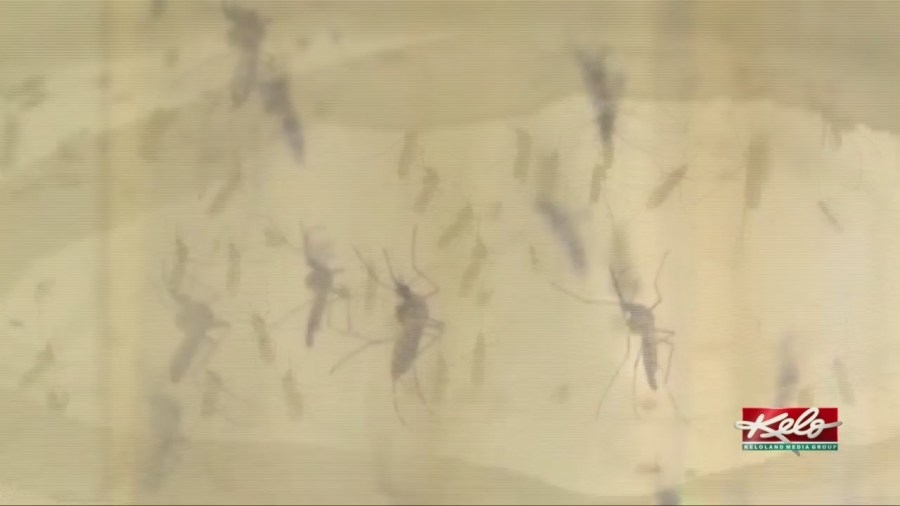 Sioux Falls ramps up mosquito control