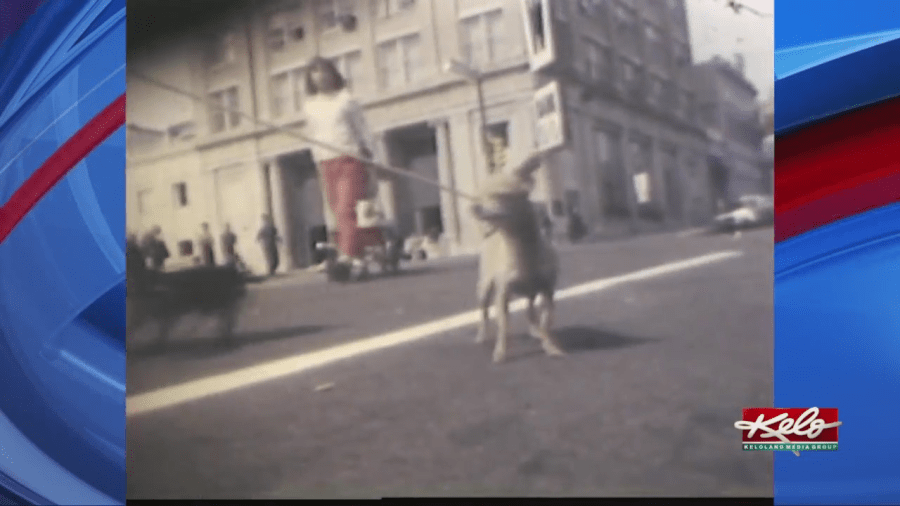 Flashback Friday: Parading Pets around Phillips Avenue