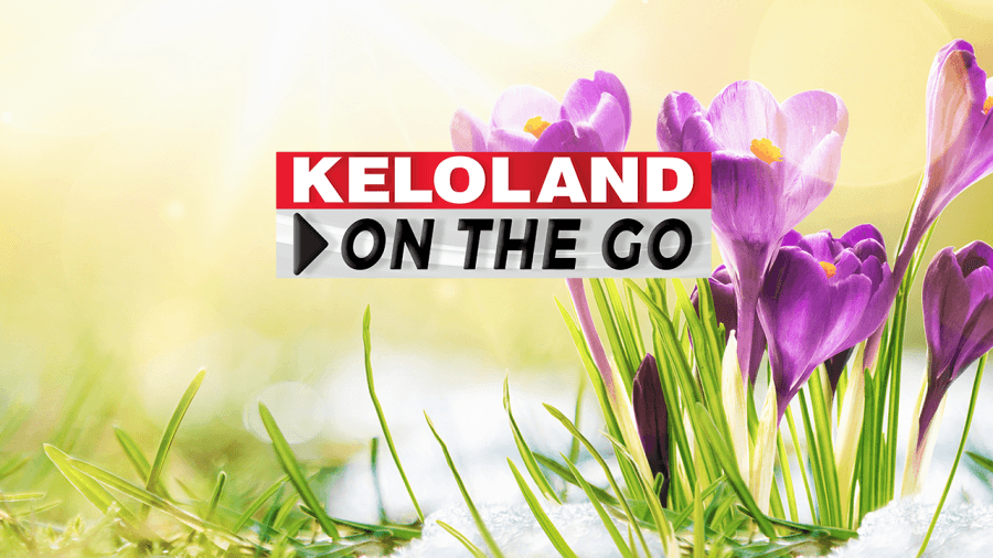 Mother's day tornado, DSU rally, boxer wins world title