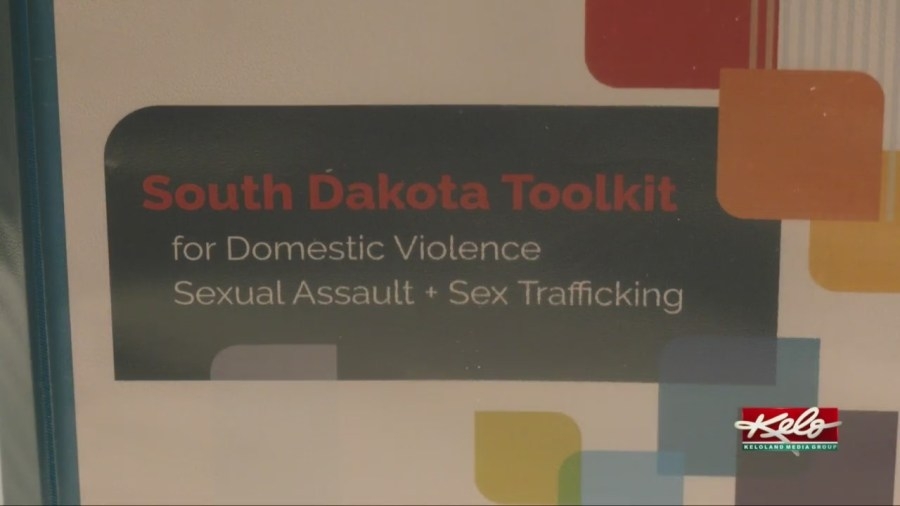 Online toolkit set to help sex trafficking victims