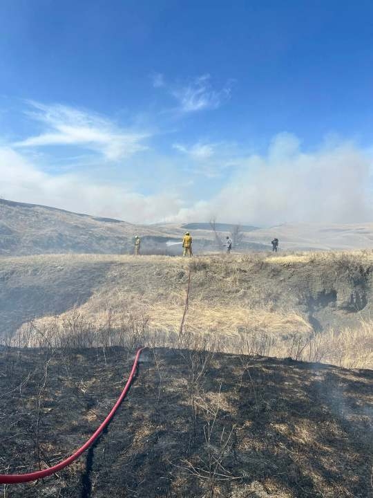 Buffalo Fire burns 1000 acres