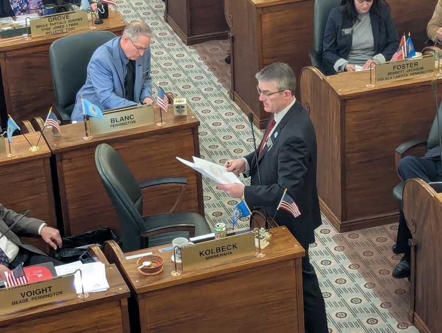 Senate wants to let state auditor investigate, too
