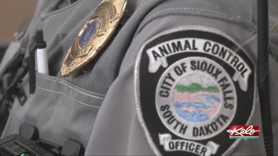 The ‘wild' animals SF Animal Control deals with