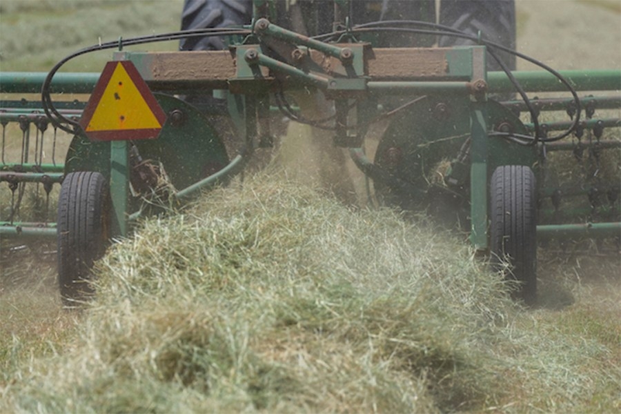 East Texas hay, forage conditions improve with rainfall