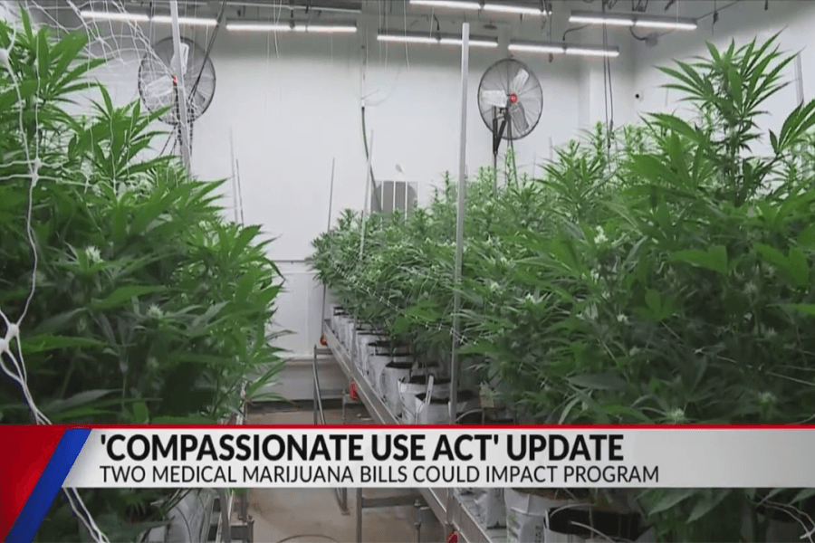 Two medical marijuana bills could lower prices and cut patient wait times