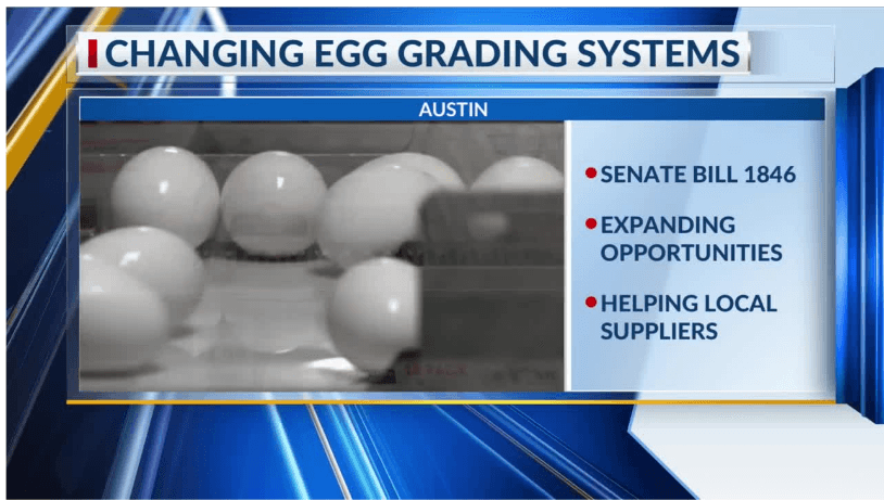 Bill looks to allow small egg producers to sell ungraded eggs wholesale