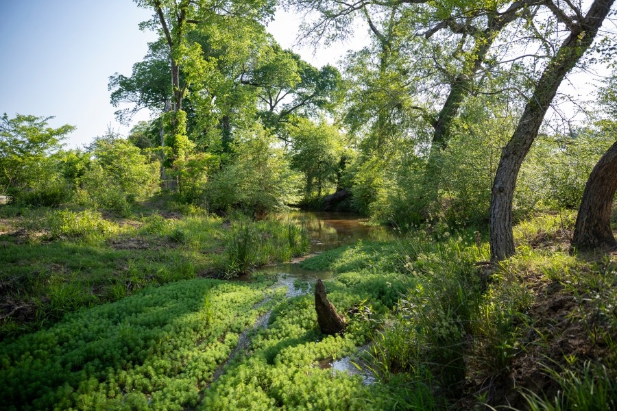 Texas Parks and Wildlife Department adds first new Wildlife Management Area in 20 years