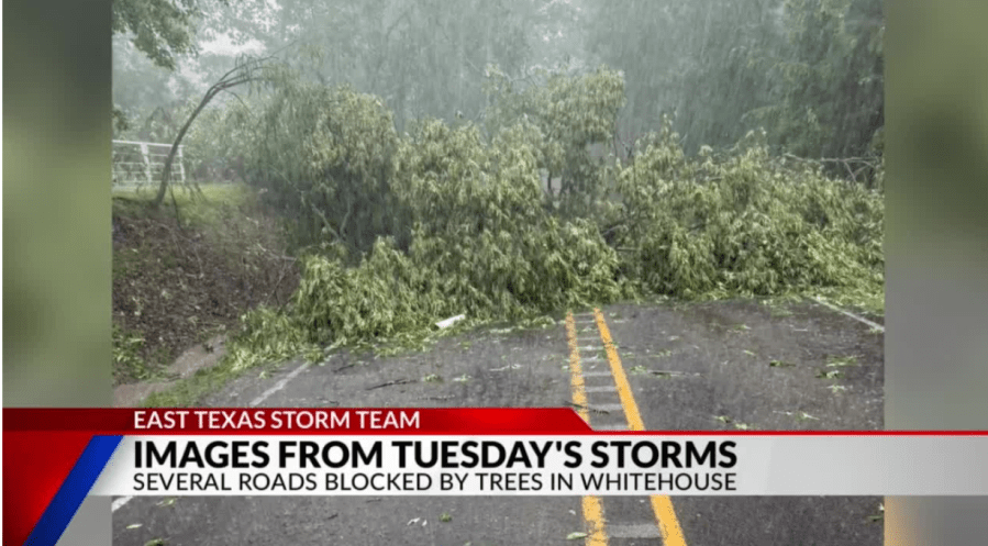 Frankston begins cleanup after EF0 tornado