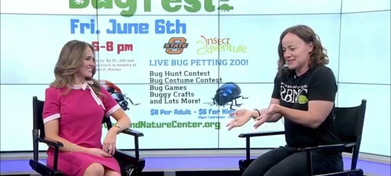 ‘Celebration of all things buggy' at River Bend Nature Center