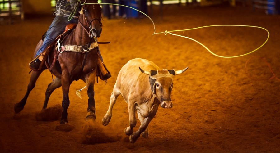 Vernon College rodeo team shines at national rodeo event