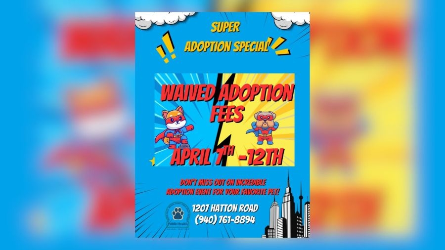 Wichita Falls Animal Services waives adoption fees this week