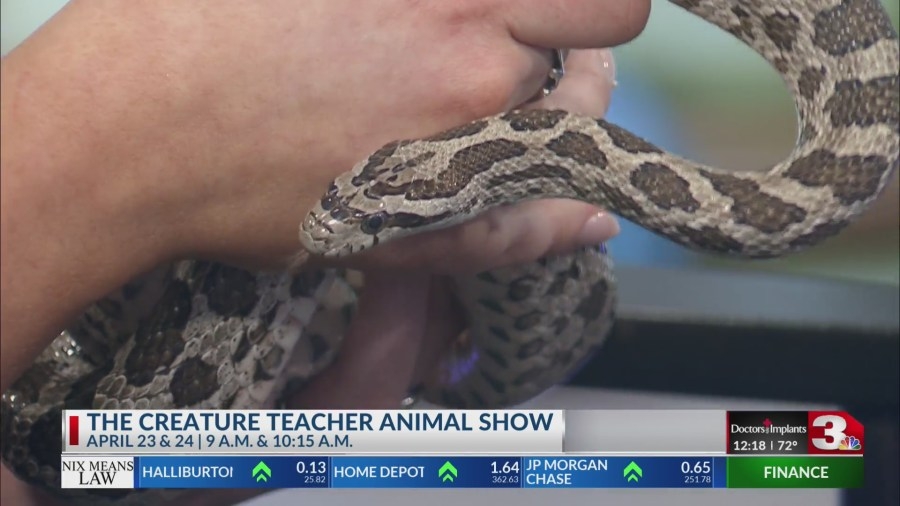 River Bend Nature Center features wildlife encounter with Creature Teacher