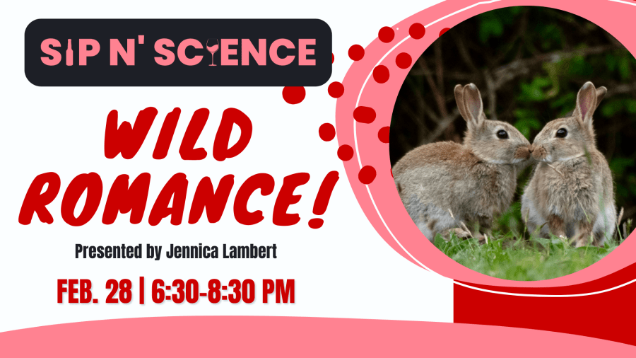 Sip N' Science; A 21+ night of ‘Wild Romance' at RNBC