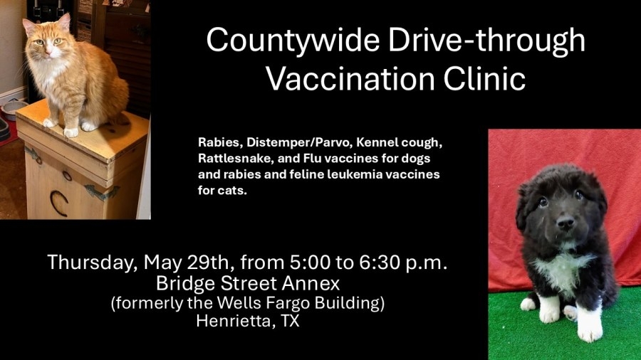 Clay County hosts drive-thru pet vaccine clinic in Henrietta