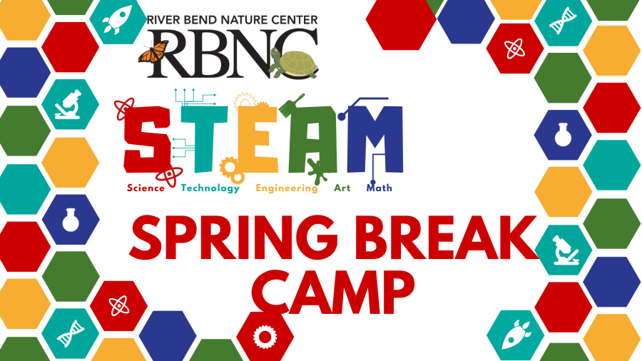 Get hands on learning with RBNC's Spring Break Camp