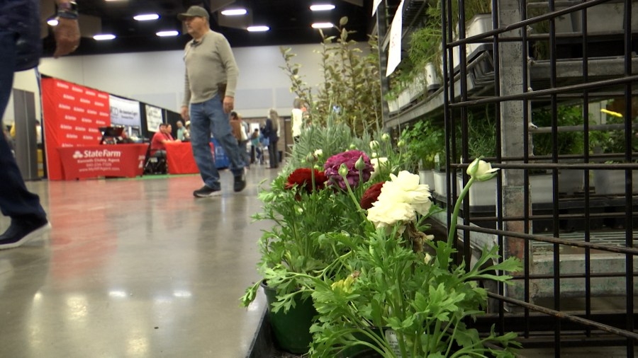 2025 Home and Garden Festival wraps up amid spring-like conditions