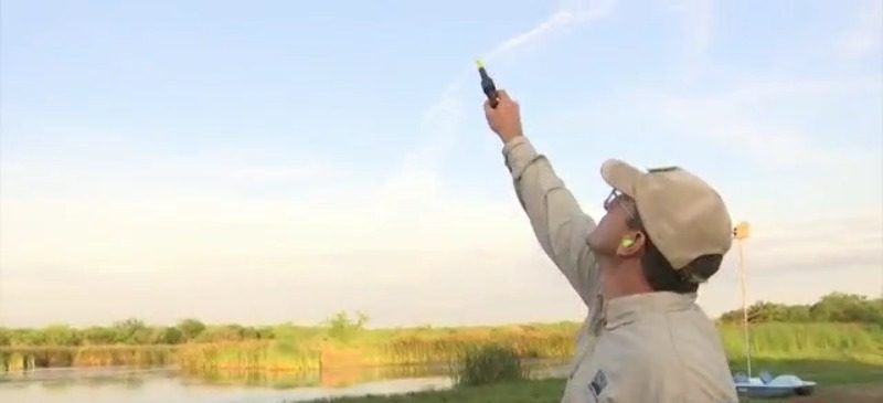 Sheppard AFB readies for cattle egret dispersal efforts