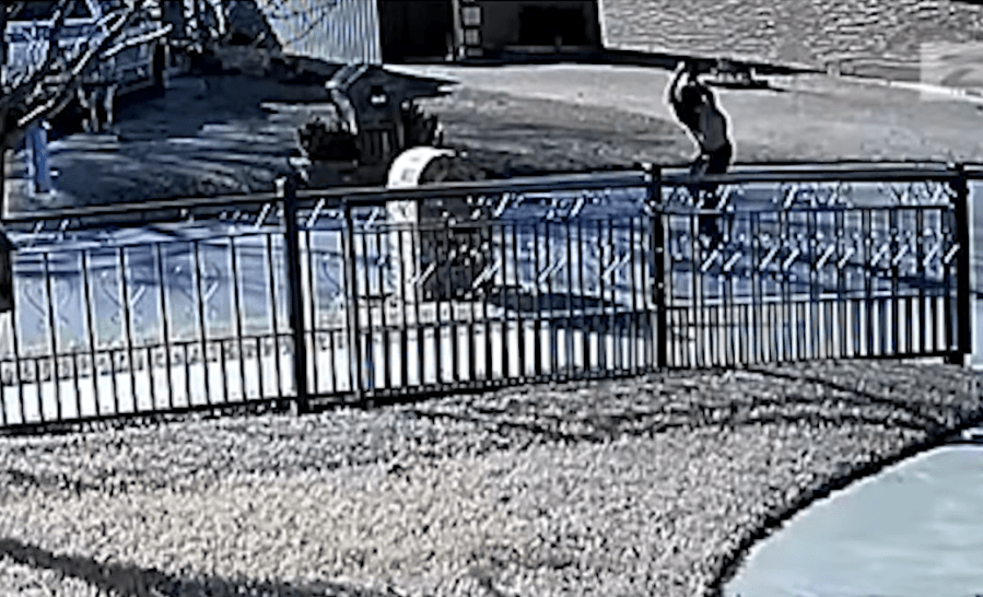 Police trying to identify man after he allegedly slammed puppy to the ground