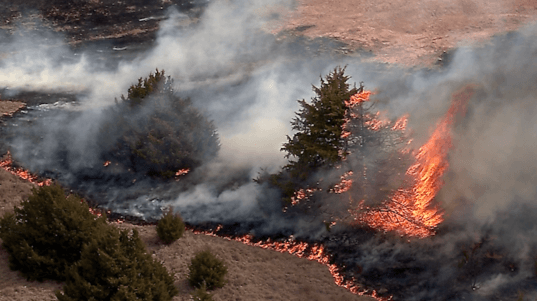 More Oklahoma forestry services jobs on the chopping block