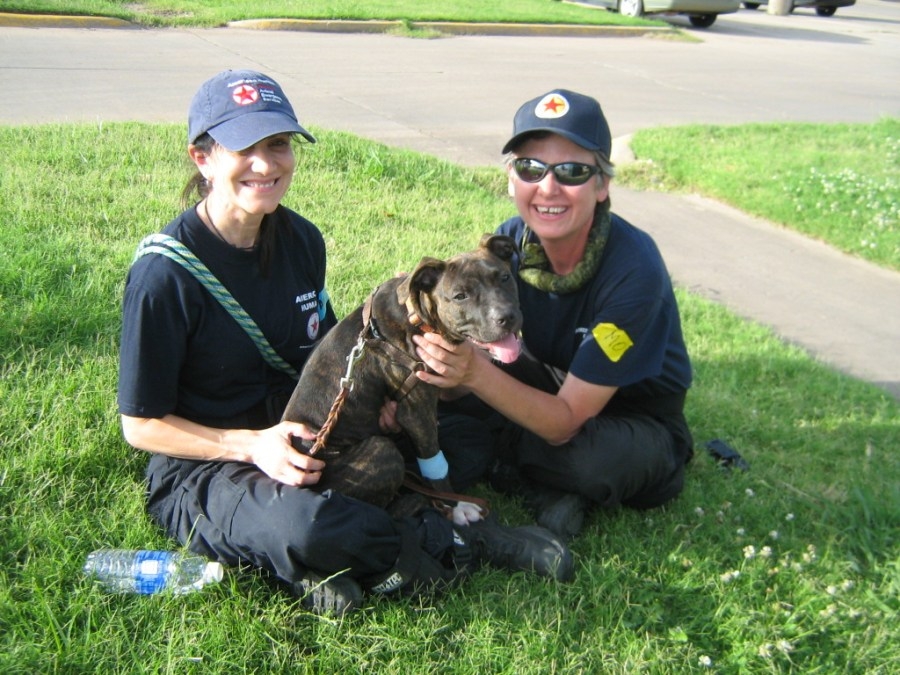 Moore tornado survivor and search dog dies days before 12th anniversary