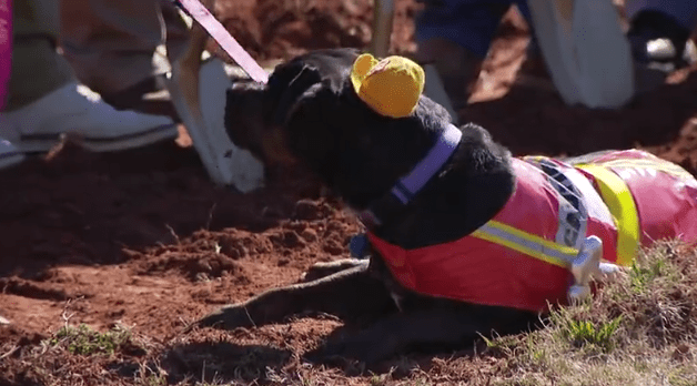 OKC's Louisa McCune Animal Welfare Center breaks ground