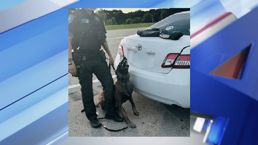 OBN highlights K9 for intercepting 6 lbs. of meth