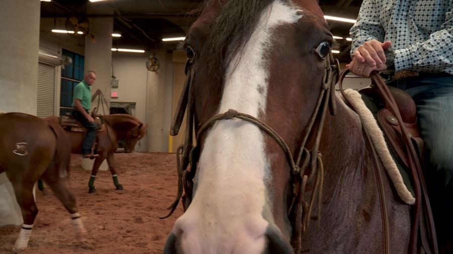 NRHA expected to pump millions of dollars into local economy