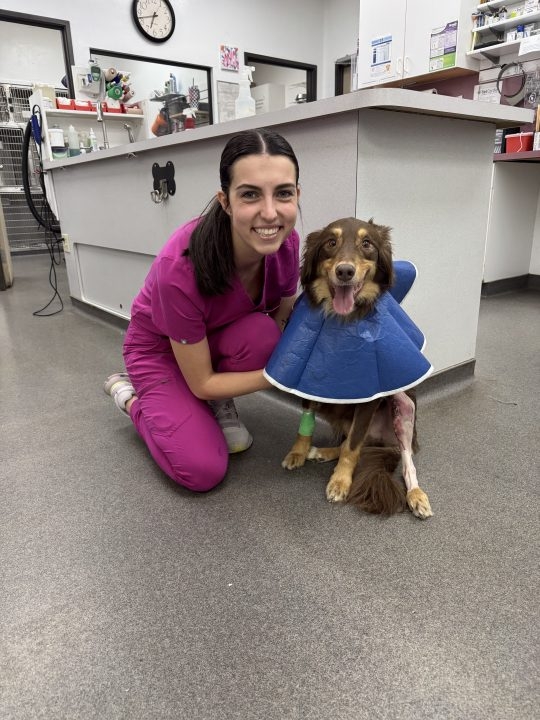 Metro man's friends step in to help after his dog needs surgery