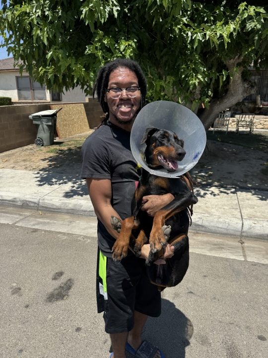 Beau the Doberman has burn wounds but she's OK; teen who helped save dog from arson fire meets grateful owner