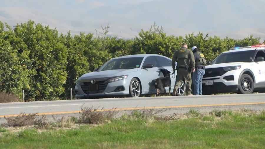 UFW granted preliminary injunction limiting Border Patrol on warrantless arrests, stops