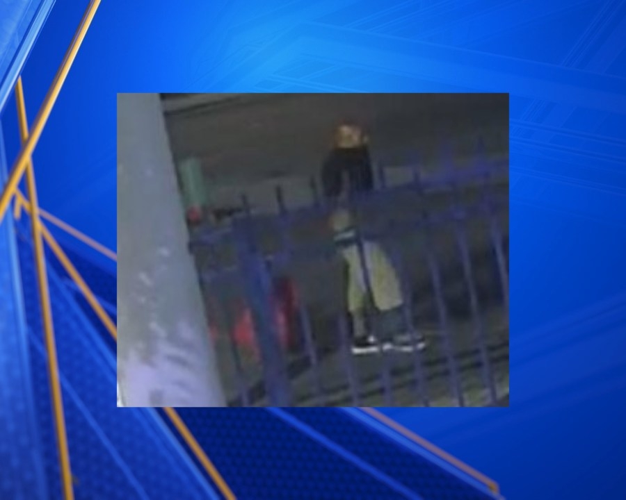 BPD searches for man who allegedly stole rose bushes from police activities center