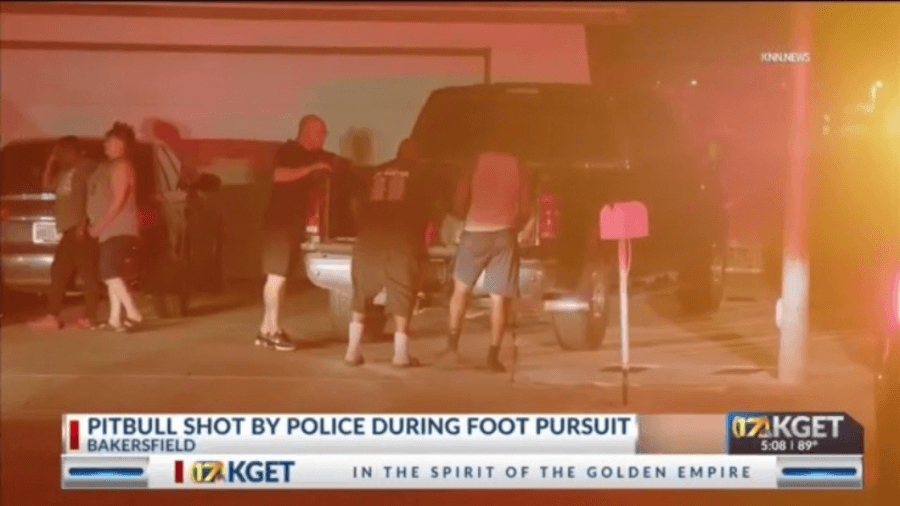 Fleeing suspect released pitbull from kennel during foot pursuit in south Bakersfield: police