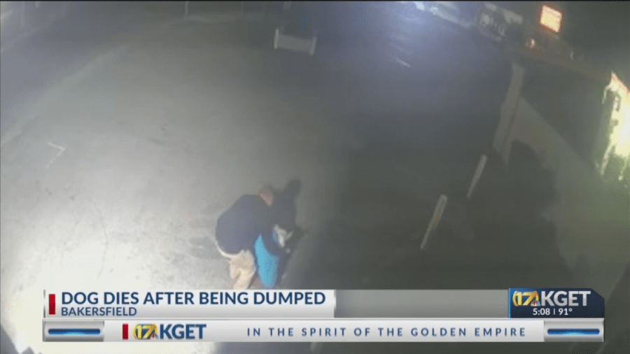 Dog dies after being left in dumpster by Rusty's Pizza Parlor