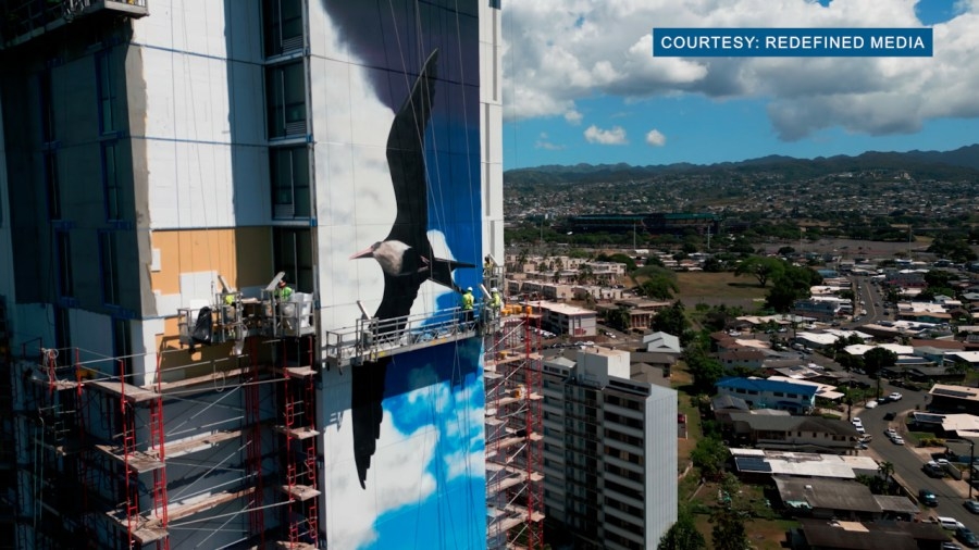 Artist paints Hawaii's tallest mural in Halawa