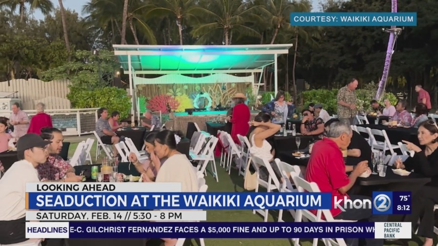 Seaduction celebrating Valentine's Day in Waikiki