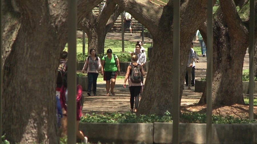 Interested in early childhood education? UH Manoa posts new degree option