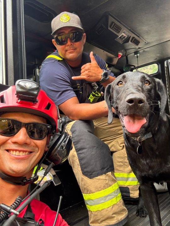 HFD rescues dog from ʻAina Haina hiking trail