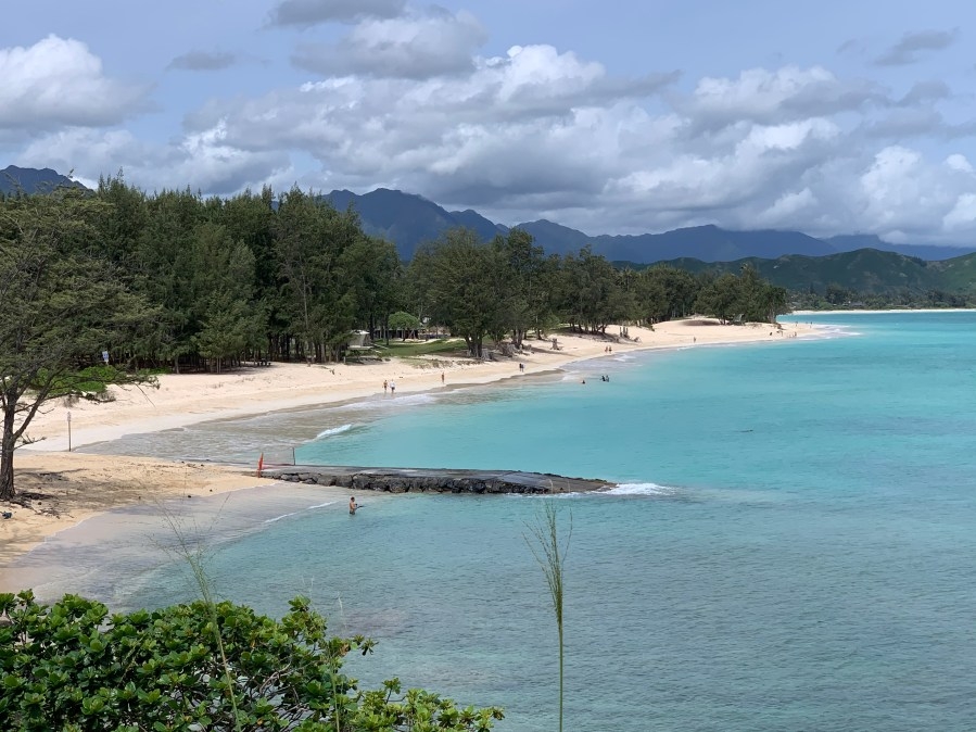 Hundreds of native plants restored to Kailua Beach Park